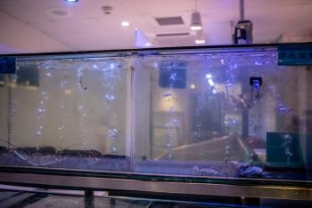 Akvaryum Isıtıcı Rezistans